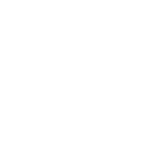 x-white-icon