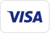 visa icon